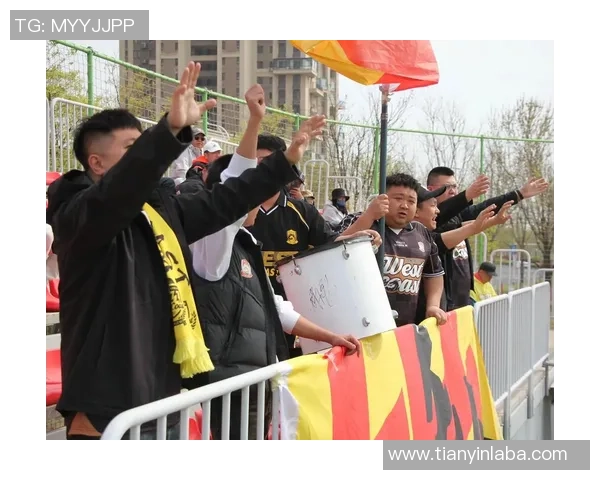 青岛足球文化崛起：从青少年培养到职业联赛发展的全面探索